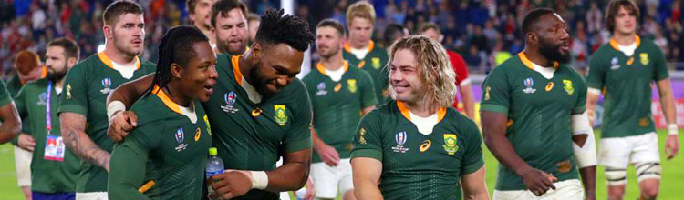 camiseta rugby Sudafrica